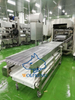 Safety And Hygiene Fryer For Food Processing