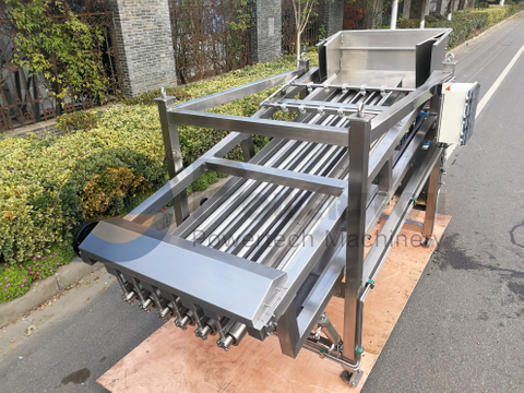 Easy Operation Automatic Fish Grading Machine