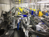 Total Solution Automatic Fish Filleting Production Line