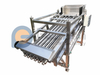 Industrial Food Grade And Food Safety Fish Grading Machine