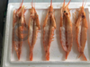 High Capacity Argetina Red Shrimp Peeling And Deveining Machine